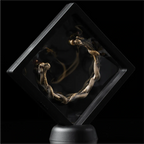 3D Floating Display Case Details 02