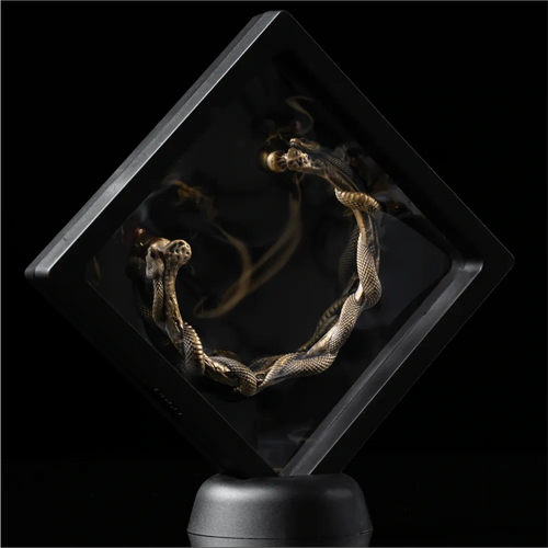 3D Floating Display Case Details 02