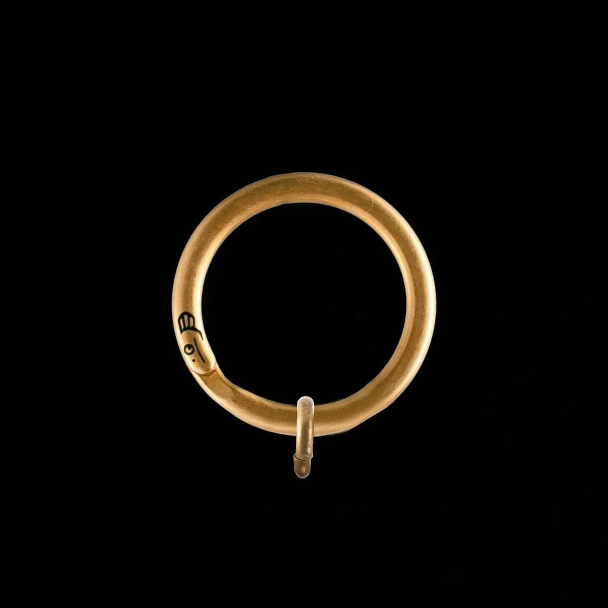 saltlume.com Electric Eel Key Ring - image 15