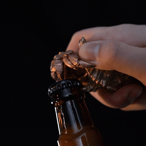 Bronze Hermit Crab Bottle Opener 2