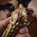 Bronze Hermit Crab Bottle Opener details