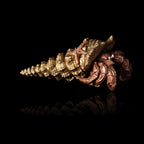Buy Hermit Crab Bottle Opener