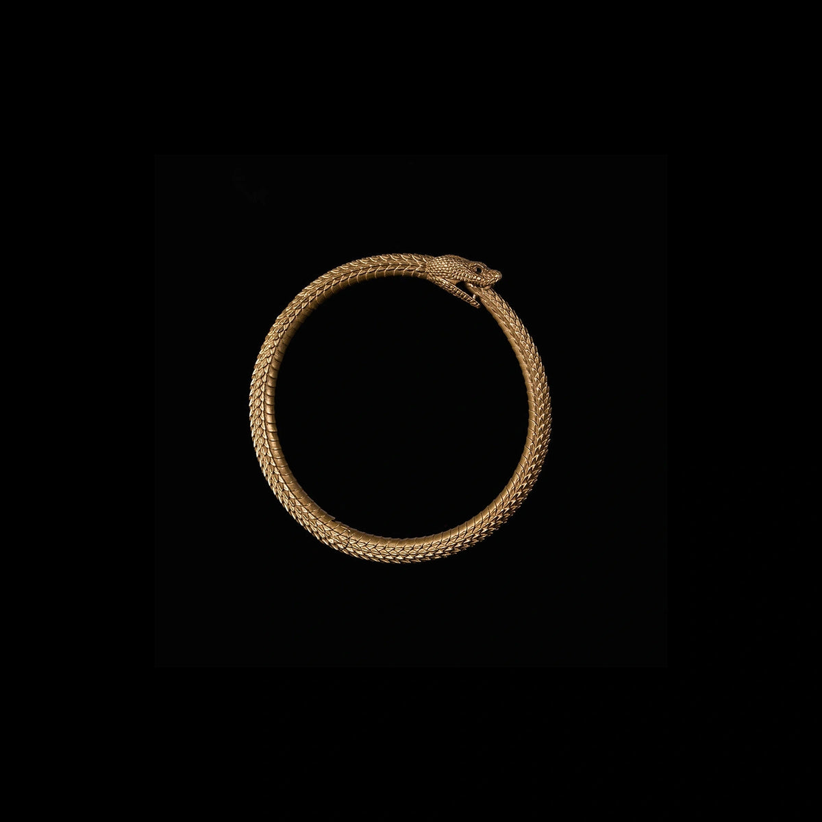 Ouroboros bracelet with detailed scales
