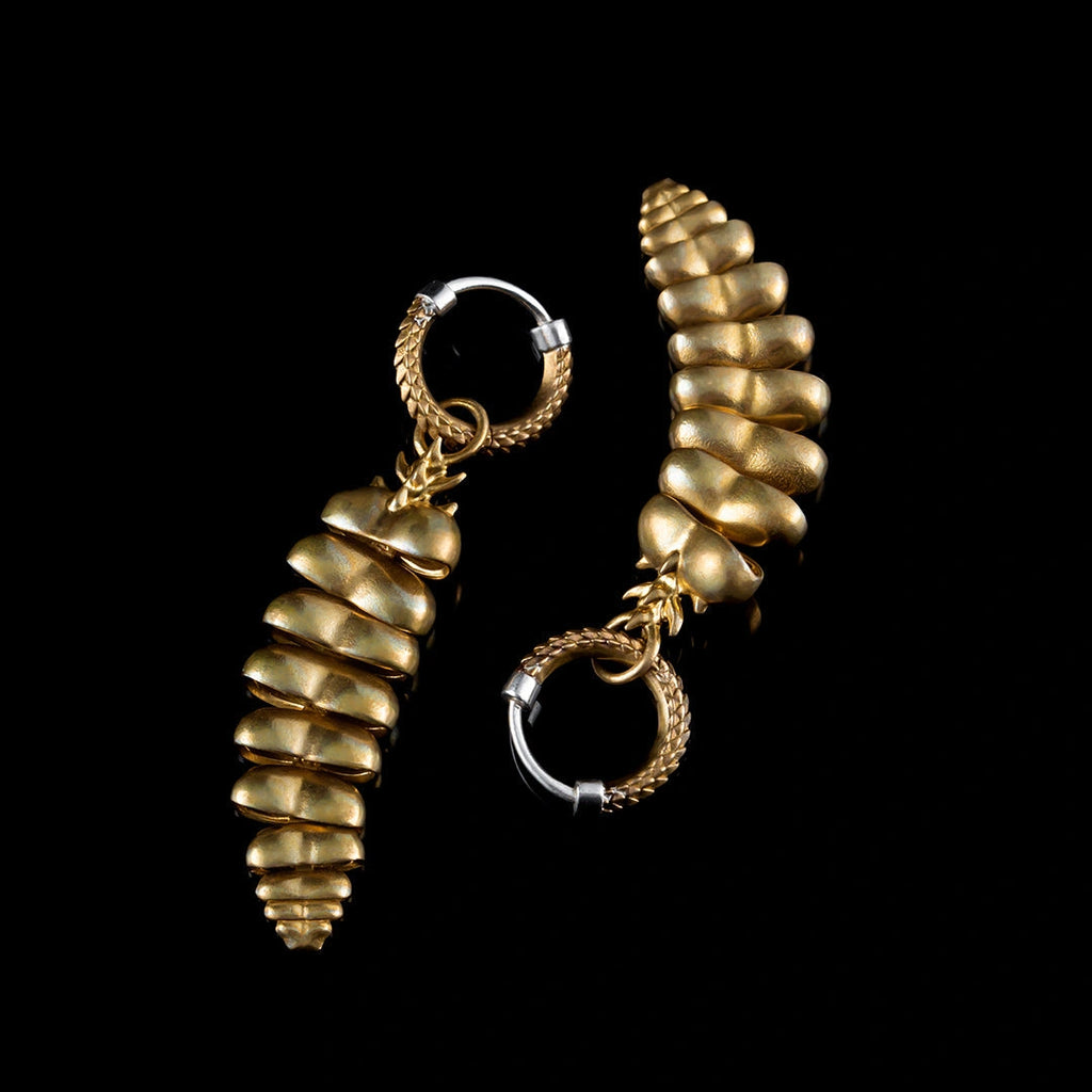 Rattlesnake Tail earrings in Brass / Pair