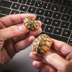 saltlume.com Turtle Shell Divination - image 12