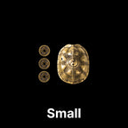 saltlume.com Turtle Shell Divination - image 16