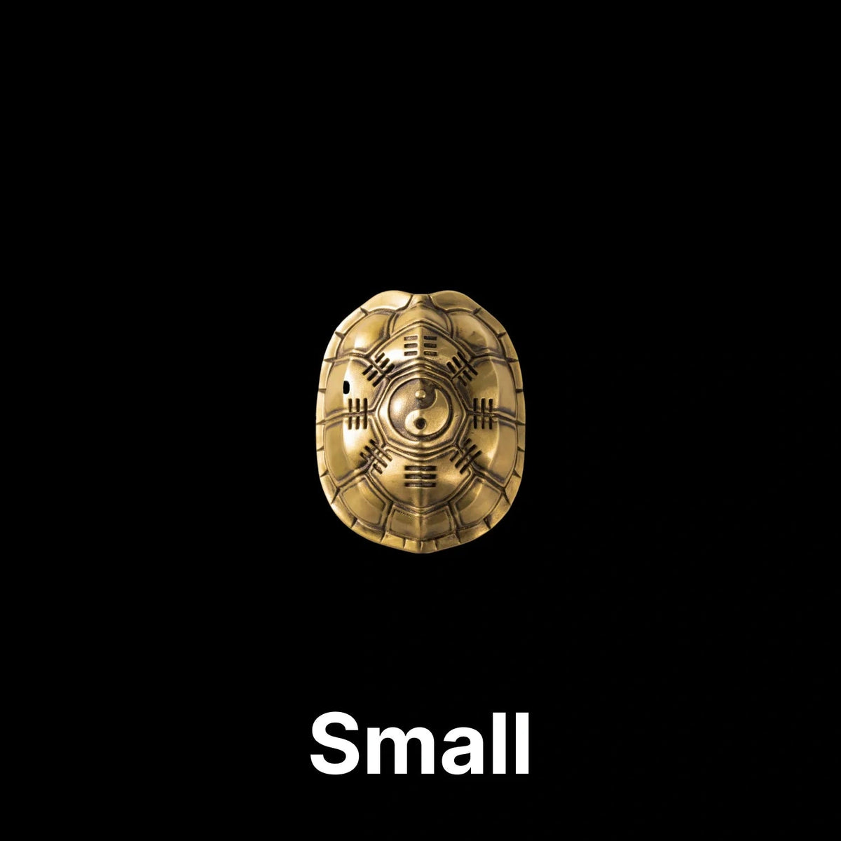 saltlume.com Turtle Shell Divination - image 20