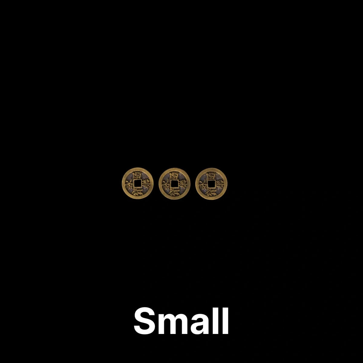 saltlume.com Turtle Shell Divination - image 21