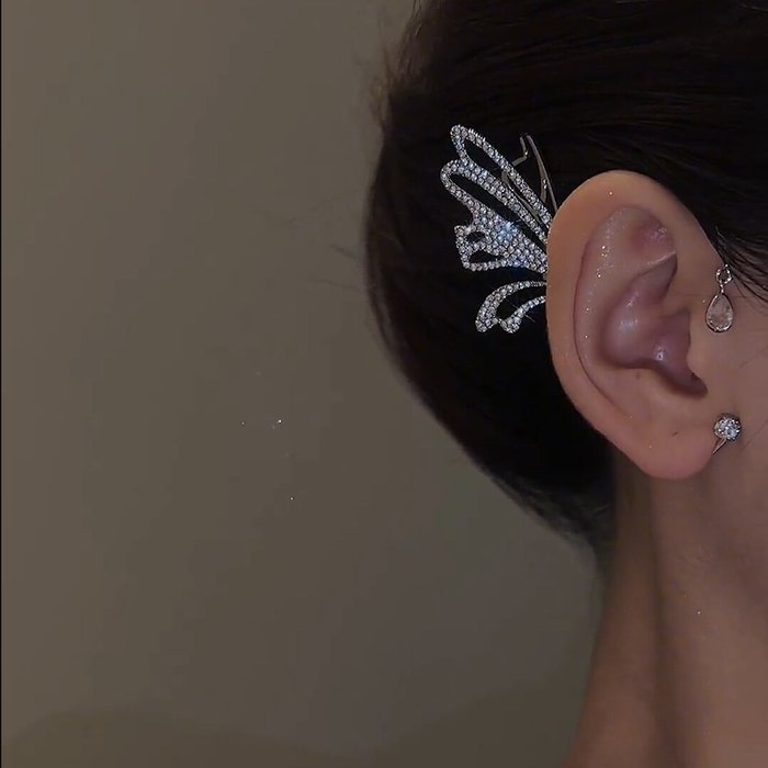 Butterfly wing earrings