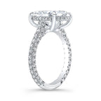 The Ring of Your Dreams - Oval Solitaire Moissanite Ring