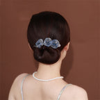Shiny Hair Accessories