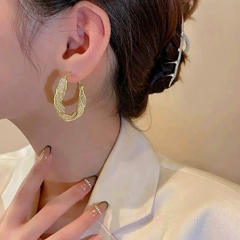 Fashion Twist Earrings