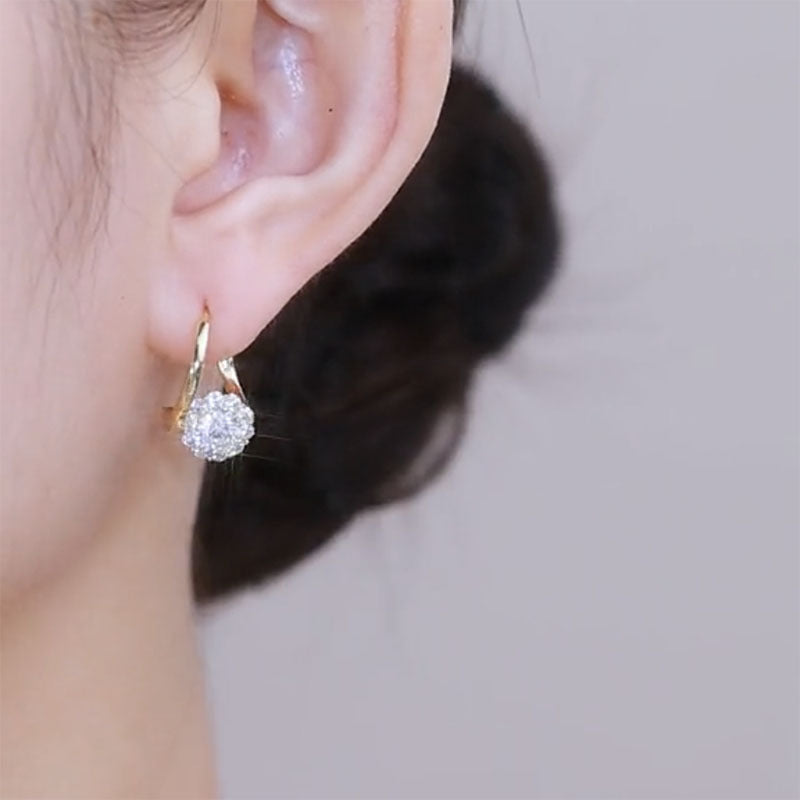 Rotatable Zircon Earrings
