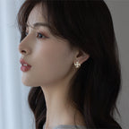 Rotating Windmill Zircon Earrings