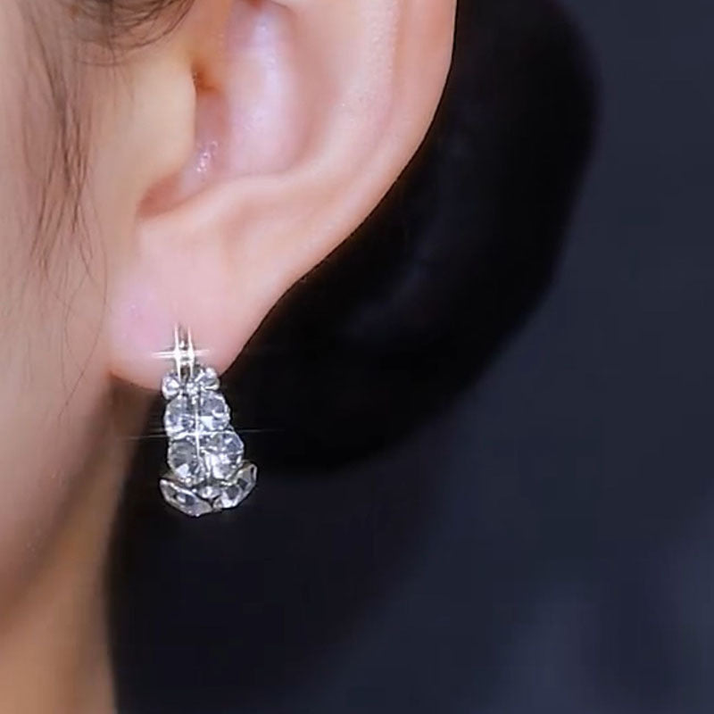 Italy Style Zircon Sparkling Earrings