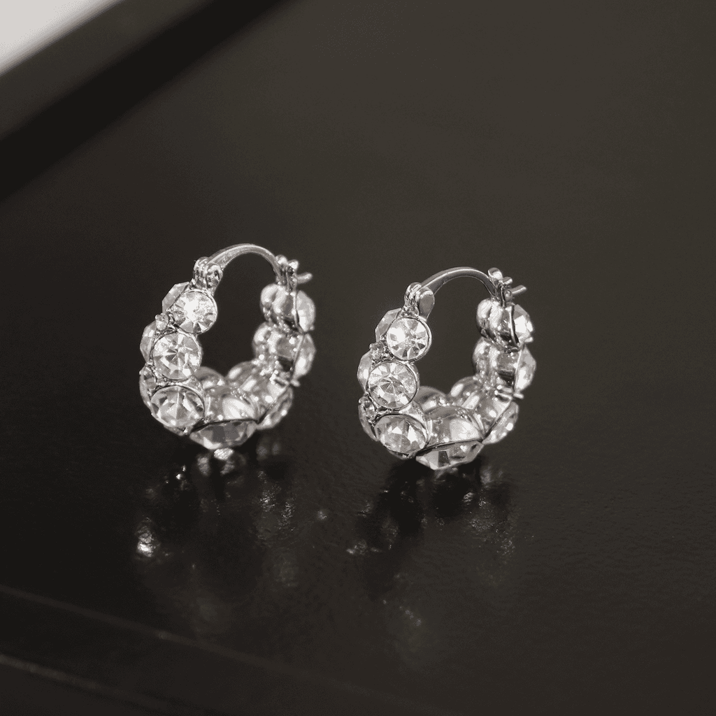 Italy Style Zircon Sparkling Earrings