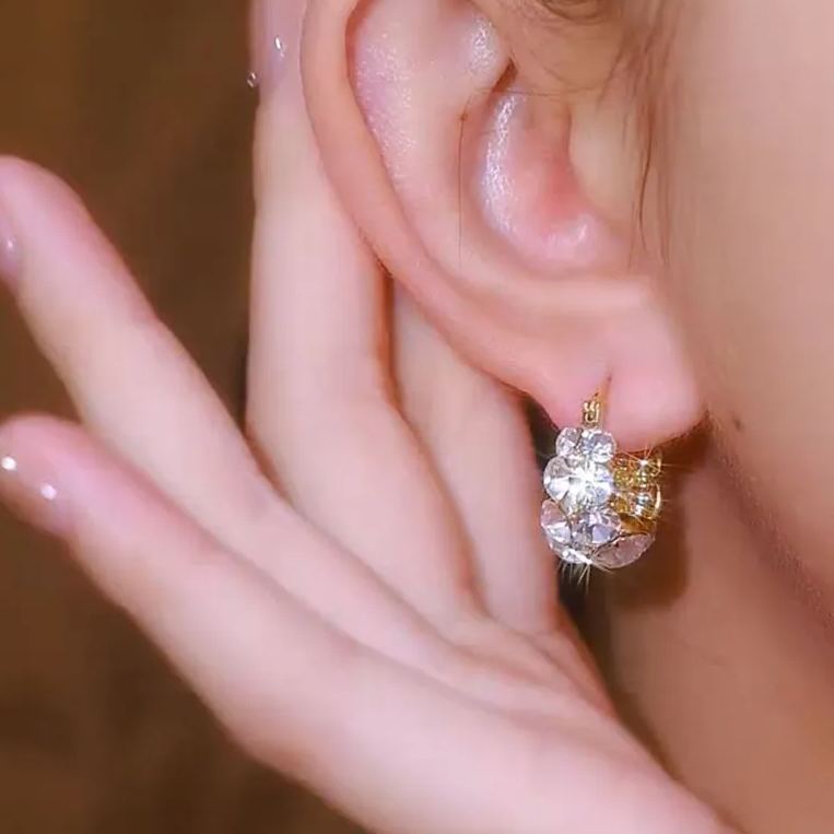 Italy Style Zircon Sparkling Earrings