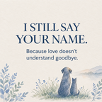 Pet Memorial Name & Birthstone Ring — 7
